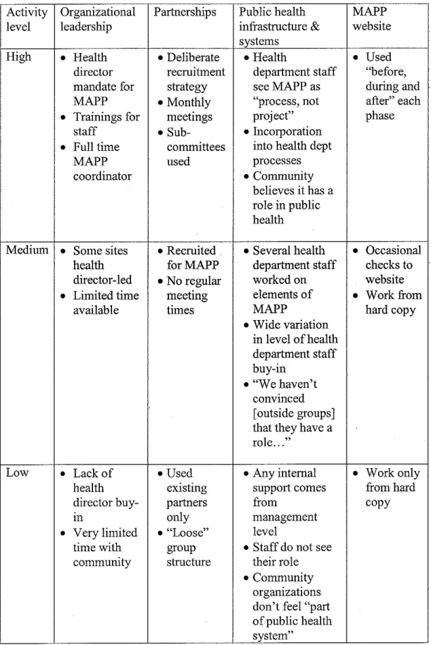 Table 3:  Summary descriptions of activity levels for identified themes 