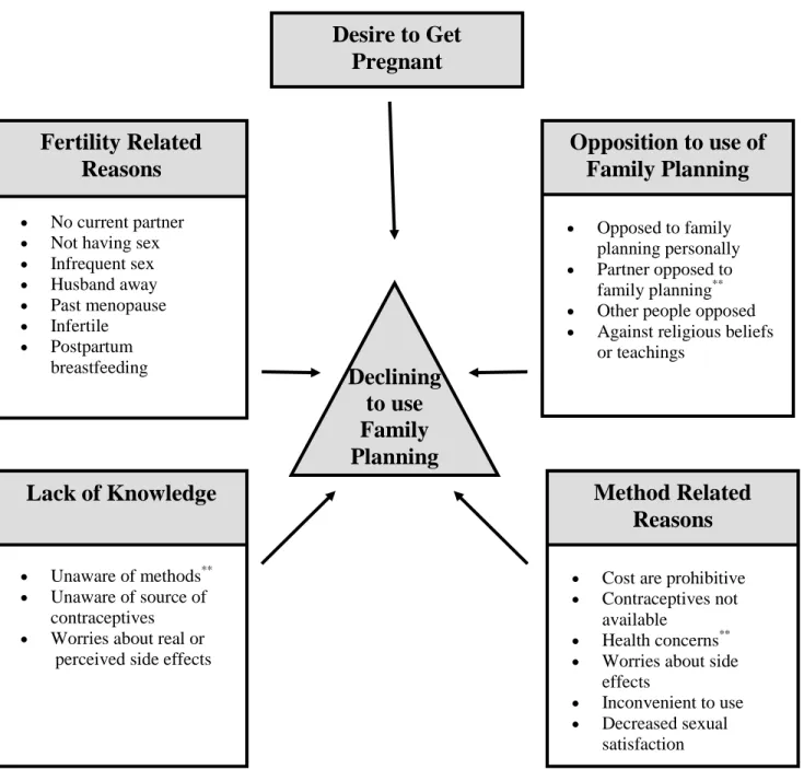 Figure Two--Personal Barriers to Using Contraception 