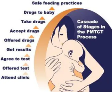 Figure 2. Cascade of stages in the PMTCT process. Source: “Mother-to-child Transmission of HIV”