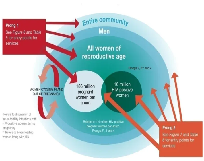 Figure 5. Focus populations of the strategic framework 2011-2015. Source: “Preventing HIV and Unintended  Pregnancies: Strategic Framework 2011-2015”