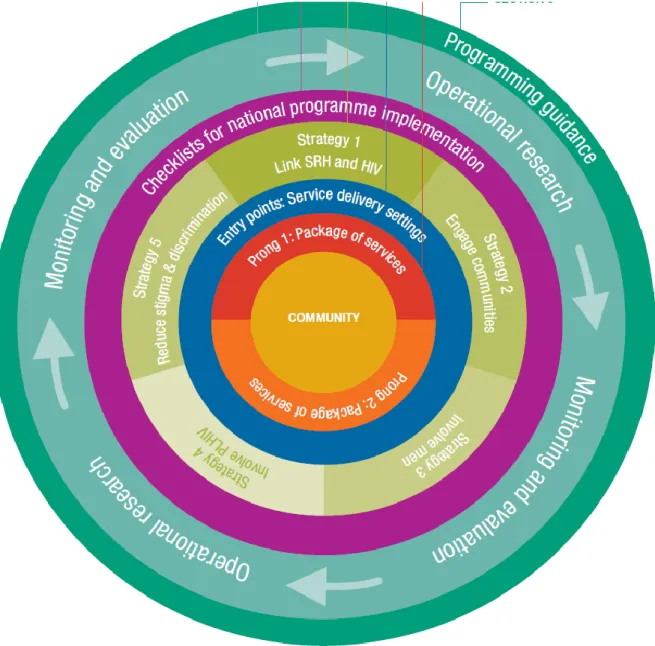 Figure 6. Framework at a glance. Source: “Preventing HIV and Unintended Pregnancies: Strategic Framework  2011-2015”