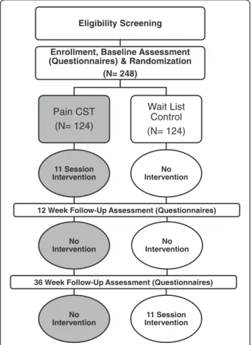 Fig. 1 Overview of Trial Design