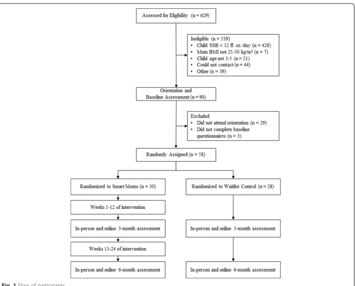 Fig. 1 Flow of participants