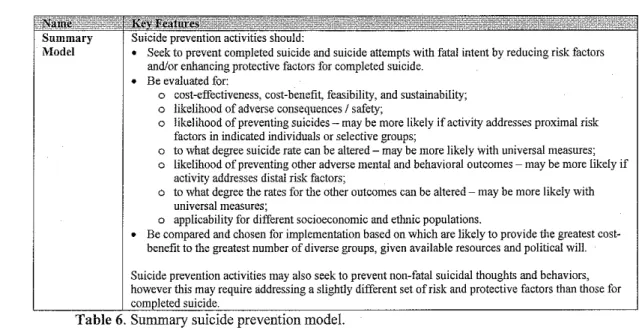 Table 6.  Summary suicide prevention model. 