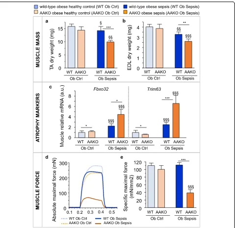 Fig. 2 Blocking lipolysis aggravated muscle wasting and weakness in overweight/obese septic mice