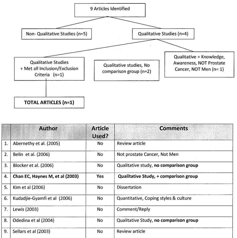 Figure 3.  Psycholnfo Search Strategy 
