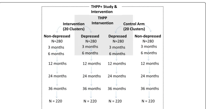 Fig. 1 THPP+ study (both the trial of perinatally depressed mothers and the reference group of perinatally nondepressed mothers) in relation to the THPP intervention trial showing anticipated loss to follow-up