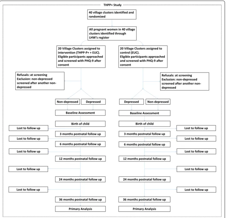 Fig. 2 Flow chart of the THPP+ study