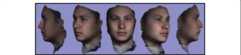 Fig. 2 T0 average of 10 samples: “The Average Face”