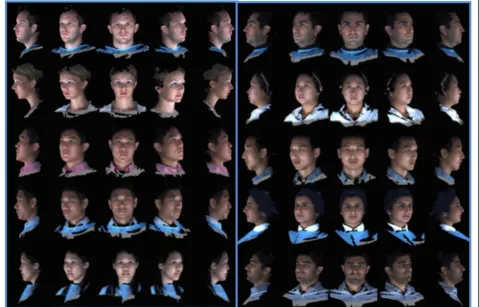Fig. 6 T0 average of 10 samples: “The Average Face” (Repeat of Figs. 2,3)