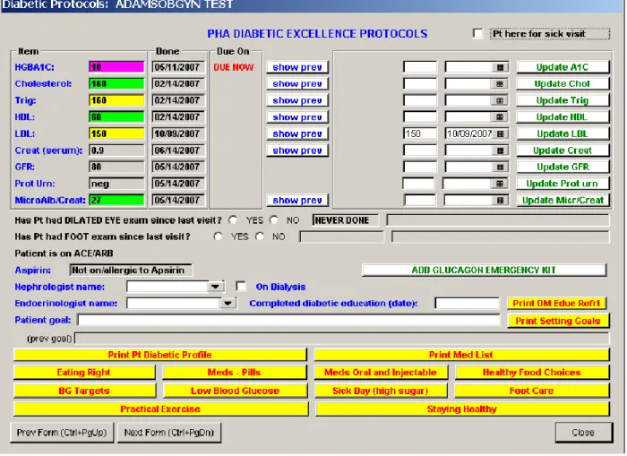 Figure 1. Screen shot of PHA Diabetic Excellence Protocol form 