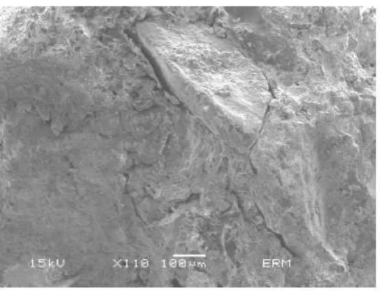 Fig. 5 Evolution of a1 and a2 thermal conductivity with time This above figure is according to the drastic a1 increase the a1 values decrease from 0.9 to 0.2 M/mK during the 20 first days