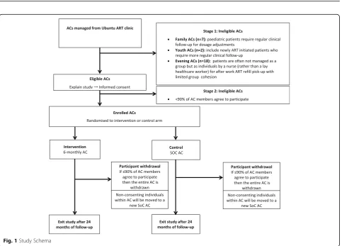 Fig. 1 Study Schema
