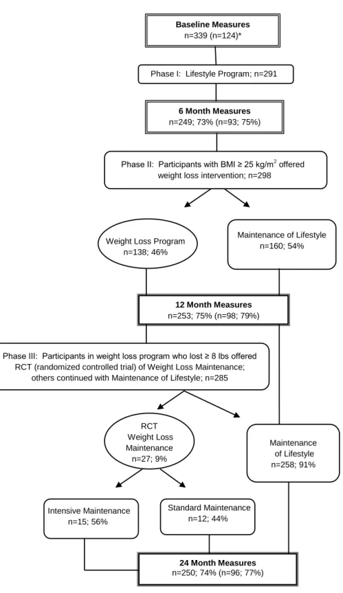 Fig. 1 Study overview 