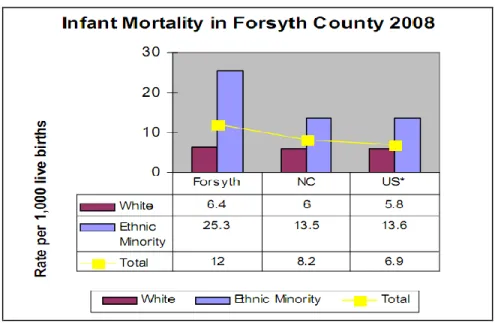 Table 2. Infant Mortality in Forsyth County 2008 