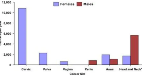 Figure D:  Yearly counts of HPV-associated cancers in the US, 1998–2003  (CDC, 2009) 