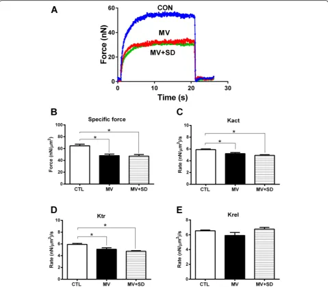 Fig. 5 Diaphragm muscle fiber function in mechanically ventilated newborn lambs.after acute shortening (Ktr).specific force (normalized to cross-sectional area).force generation after exposure to calcium by diaphragm myofibrils isolated from CTL, MV, and M