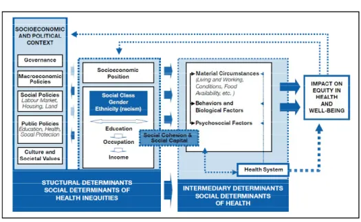 Figure 1: Social determinants of health (SDH) framework 