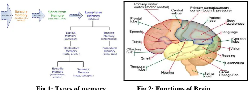 Fig 1: Types of memory                  Fig 2: Functions of Brain 