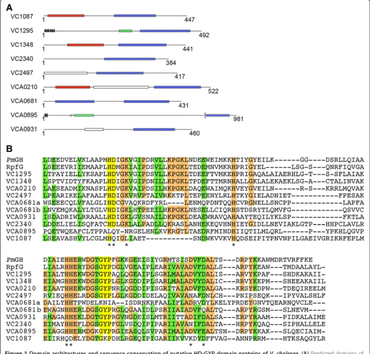 Figure 1 Domain architectures and sequence conservation of putative HD-GYP domain proteins of V