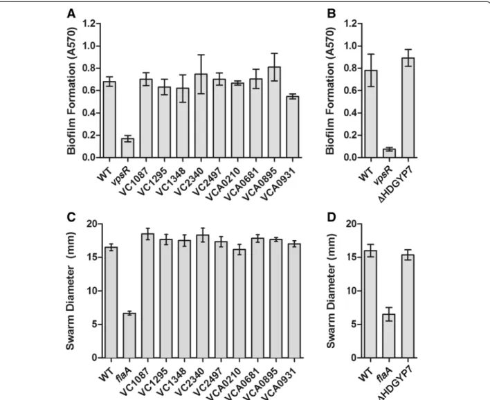 Figure 6 Biofilm and motility phenotypes of V. cholerae strains containing mutations in one or more HD-GYP domain encoding genes.