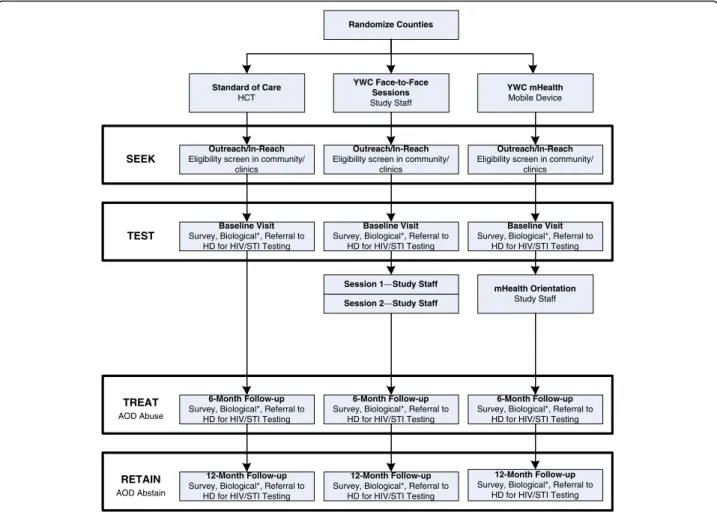 Fig. 1 Study design