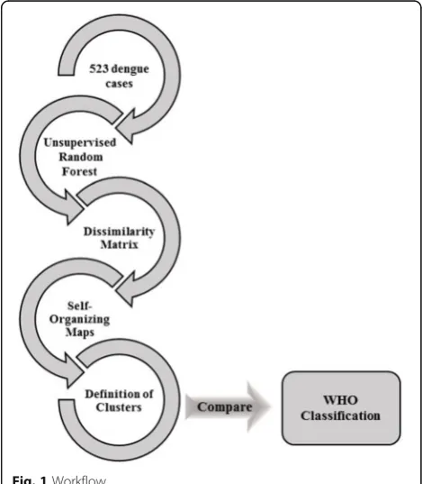 Fig. 1 Workflow