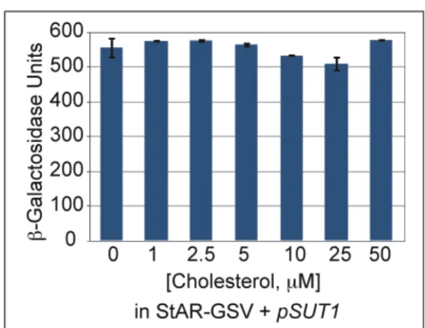 Figure S2.  Exogenously supplied cholesterol does not alter activity levels of StAR-GSV