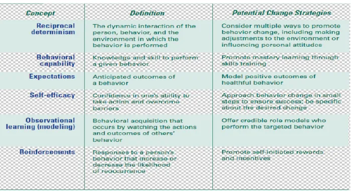 Table 2: The Social Cognitive Theory