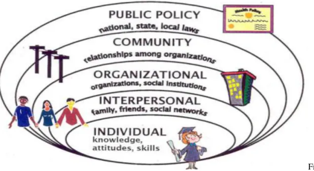 Figure 1: The Socio-Ecological Model 