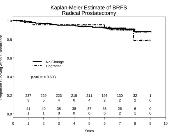 Figure 2.  Kaplan-Meier Estimate of Biochemical Recurrence Free Survival for men treated with radical  prostatectomy