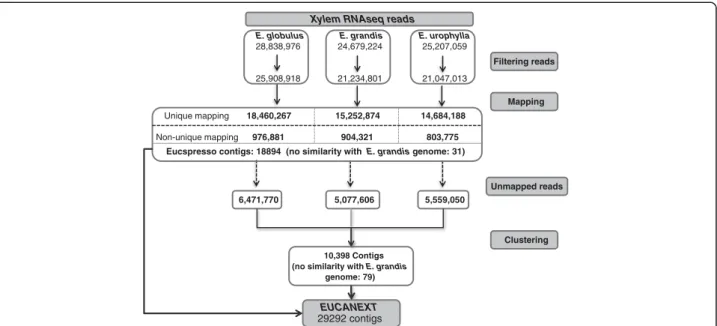 Figure S3). Thus, the majority of the genes (22,618) was not differentially expressed among the species (p-value > 0.01, fold change < 2; Additional file 4: Figure S3)