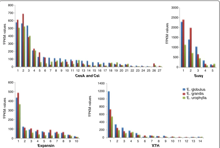 Figure 3 Cell wall-related genes: the expression profiles of selected genes related to cell wall construction