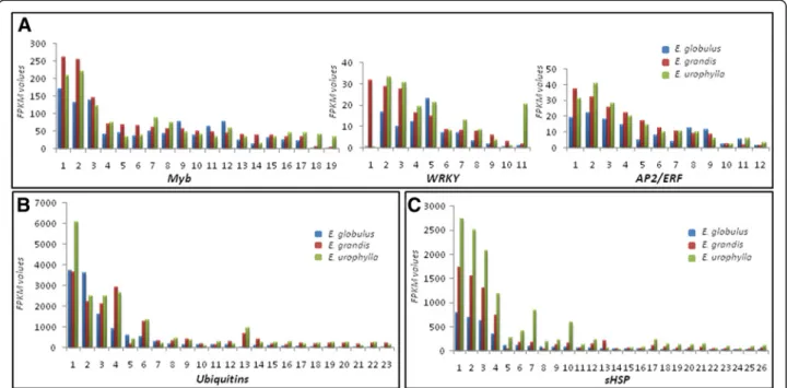 Figure 5 Important selected genes: the expression profiles of selected genes related to: A, transcription factors; B,ubiquitins; and C, heat shock proteins