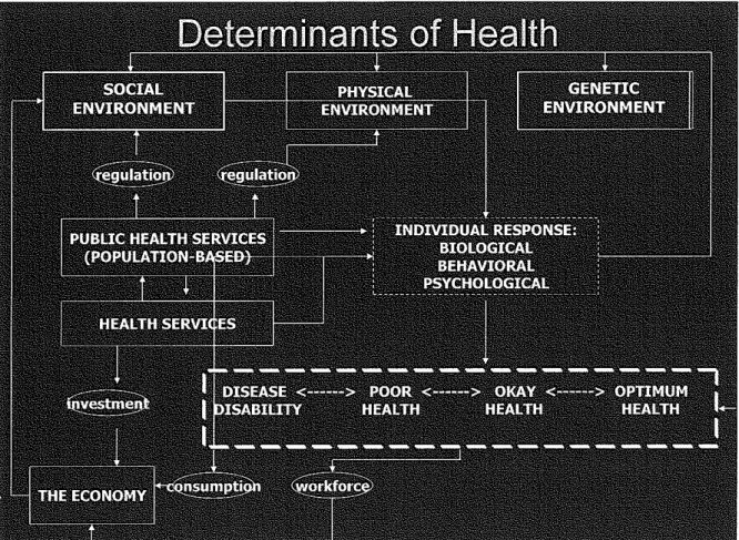 Figure 1.  Determinants  of  Health 