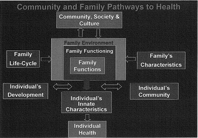 Figure 5.  Pathways to Health 