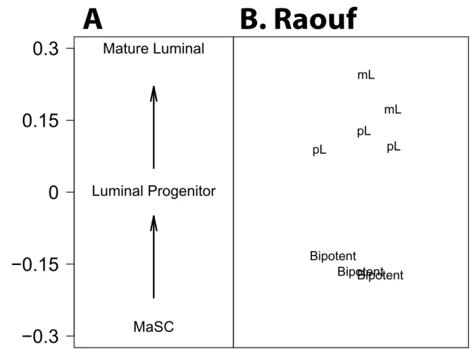Figure S7 Differentiation Score −0.3−0.15 00.150.3 Mature Luminal Luminal ProgenitorMaSC pL Bipotent Bipotent BipotentpLpLmLmLAB