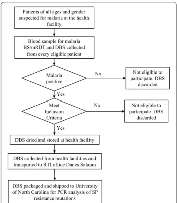 Fig. 2  Flowchart for recruiting participants and collecting samples. 