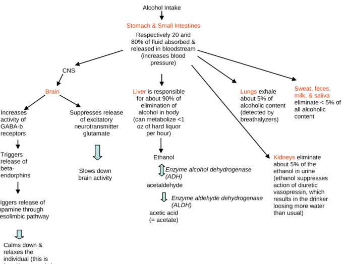Figure 4: Summary of biology related to alcohol intake: 