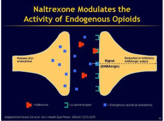 Figure 7: How Naltrexone works 