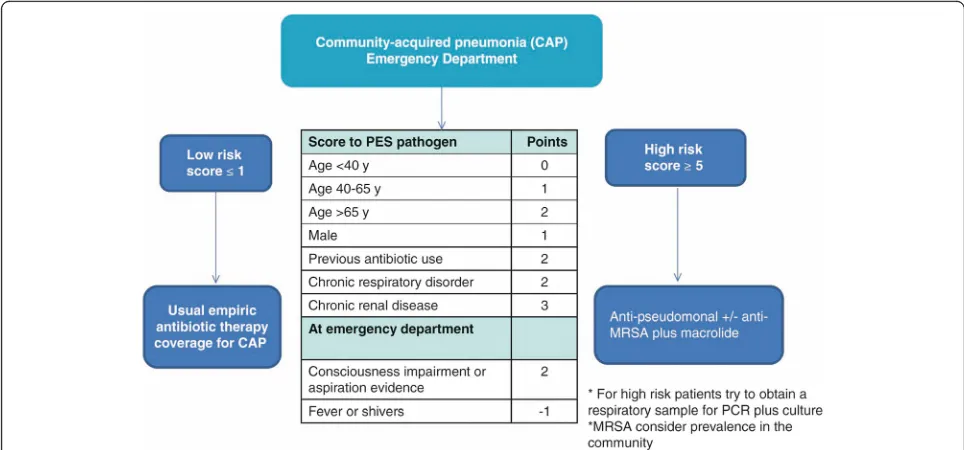 Fig. 1 Proposed algorithm for empiric antibiotic therapy in community-acquired pneumonia for patients with risk of multidrug resistant (MDR)aureuspathogens using the PES (Pseudomonas aeruginosa, Enterobacteriaceae extended-spectrum β-lactamase-positive, me