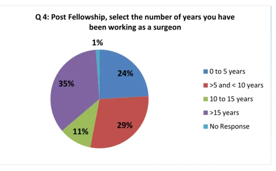 Figure 5. Respondents by Academic Experience.  