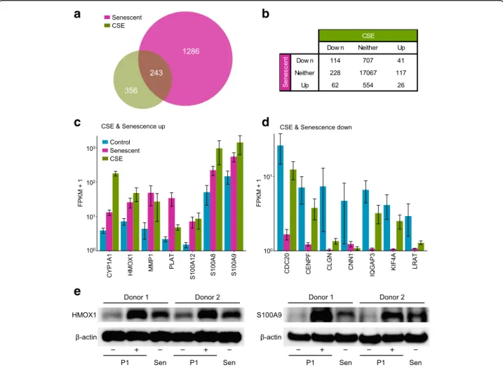 Fig. 2 Significant overlap between replicative senescence- and CSE-induced gene expression changes