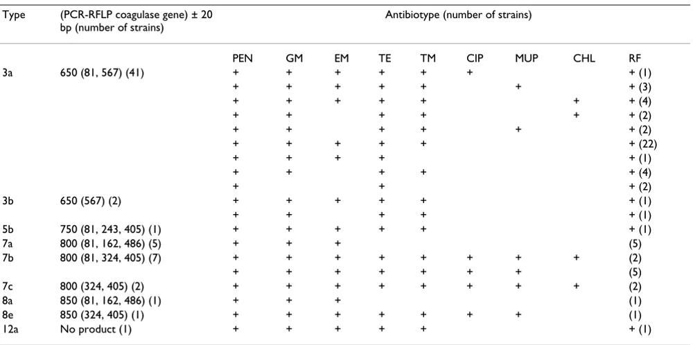 Table 4: Correlation between PCR-RFLP of the coagulase gene and antibiotyping of MRSA strains from South Africa