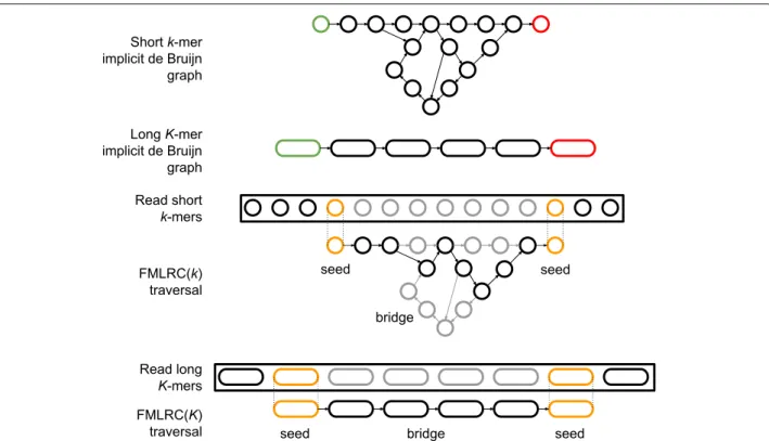 Fig. 1 Illustration of the seed-and-bridge correction strategy using short and long k-mers