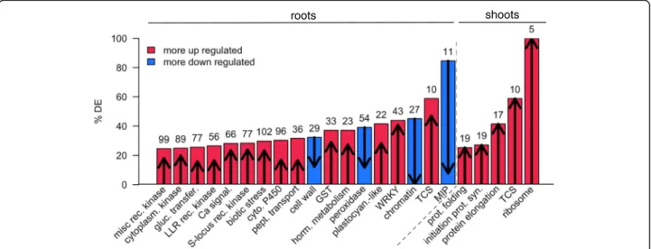 Fig. 5 MapMan categories enriched in cytokinin-responsive genes in rice tissues. Representation of the MapMan categories enriched in the number of cytokinin-regulated genes in rice roots (left) and shoots (right)
