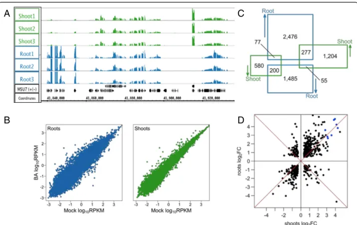 Table S2). In each of the 12 libraries, more than 75% of reads mapped to the top 10% of the most highly expressed genes