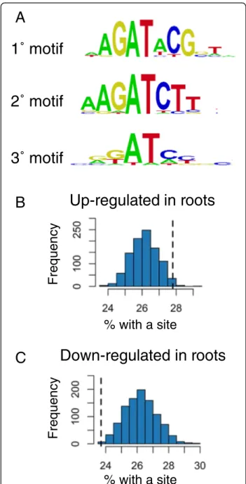 Fig. 3 OsRR22 binding sites in differentially expressed genes in rice roots and shoots