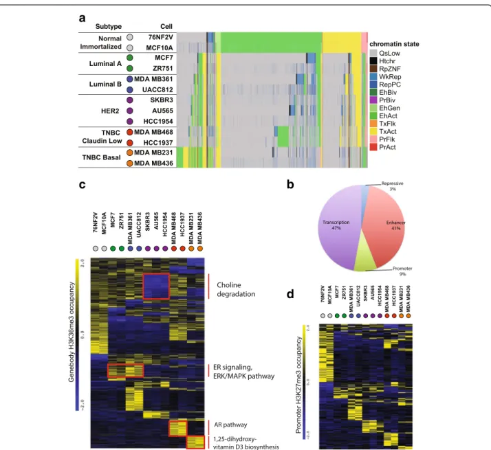 Fig. 2 Chromatin states signatures for breast cancer subtypes. a Genome wide subtype specific patterns revealed by chromatin state clustering (chromatin state color scheme same as Fig