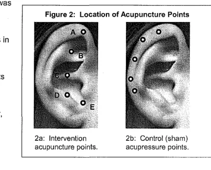 Figure 2:  Location  of Acupuncture  Points 